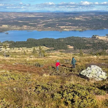 Stor Pa Bualie, Golsfjellet 高尔