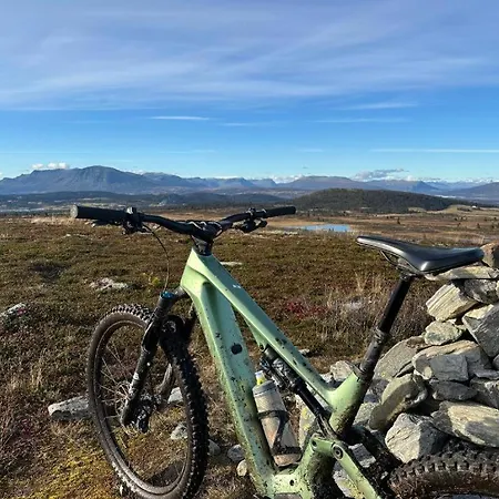 Stor Pa Bualie, Golsfjellet